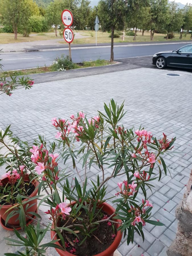 Pretty Garden Orşova Exterior foto
